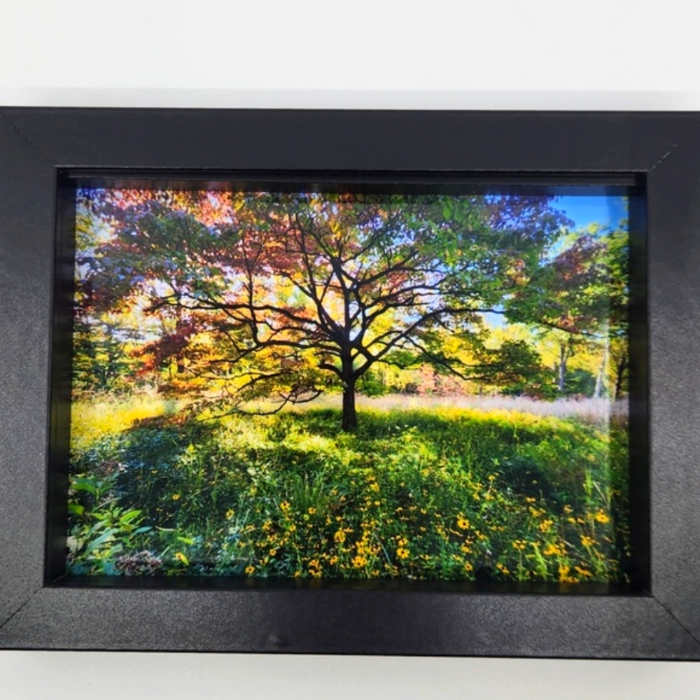 Original Art Photograph by Butterfly Rising Designs - Picture 3 of 6
